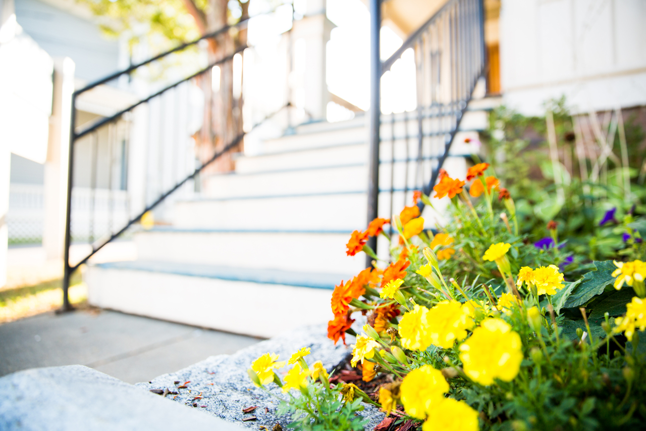 Beautiful Front Door with flowers out front