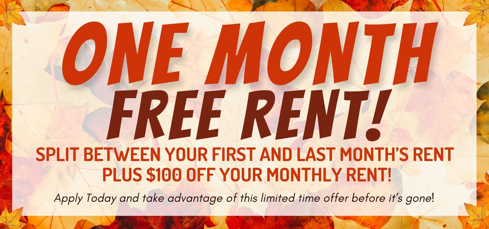 One Month Free Rent! Split between your first and last month’s rent PLUS $100 Off Your Monthly Rent! Apply today and take advantage of this limited time offer before it’s gone!